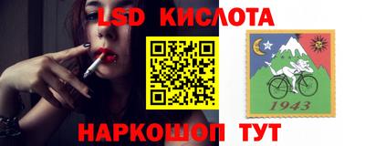 гидропоника Будённовск